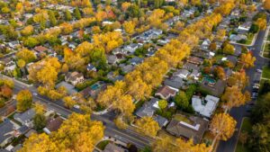 community neighborhood managed by CAM